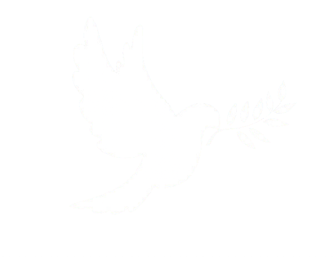Transparent Dove Image